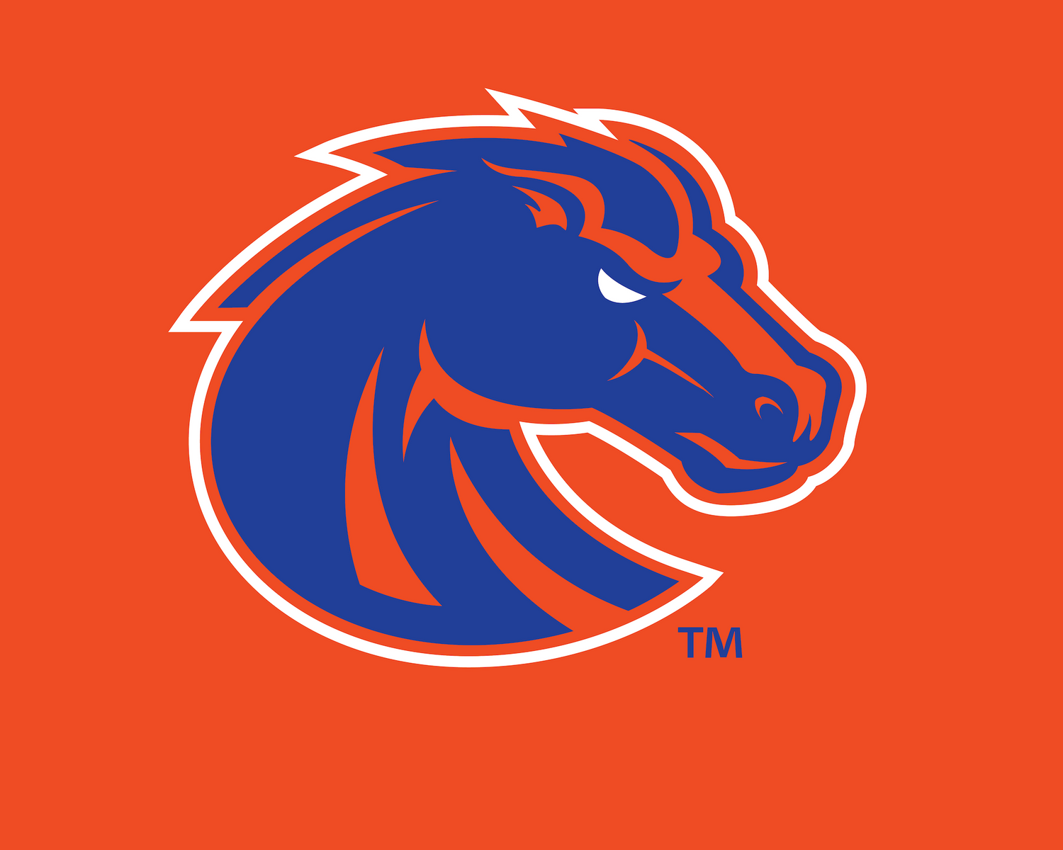 Boise State Men's Tennis