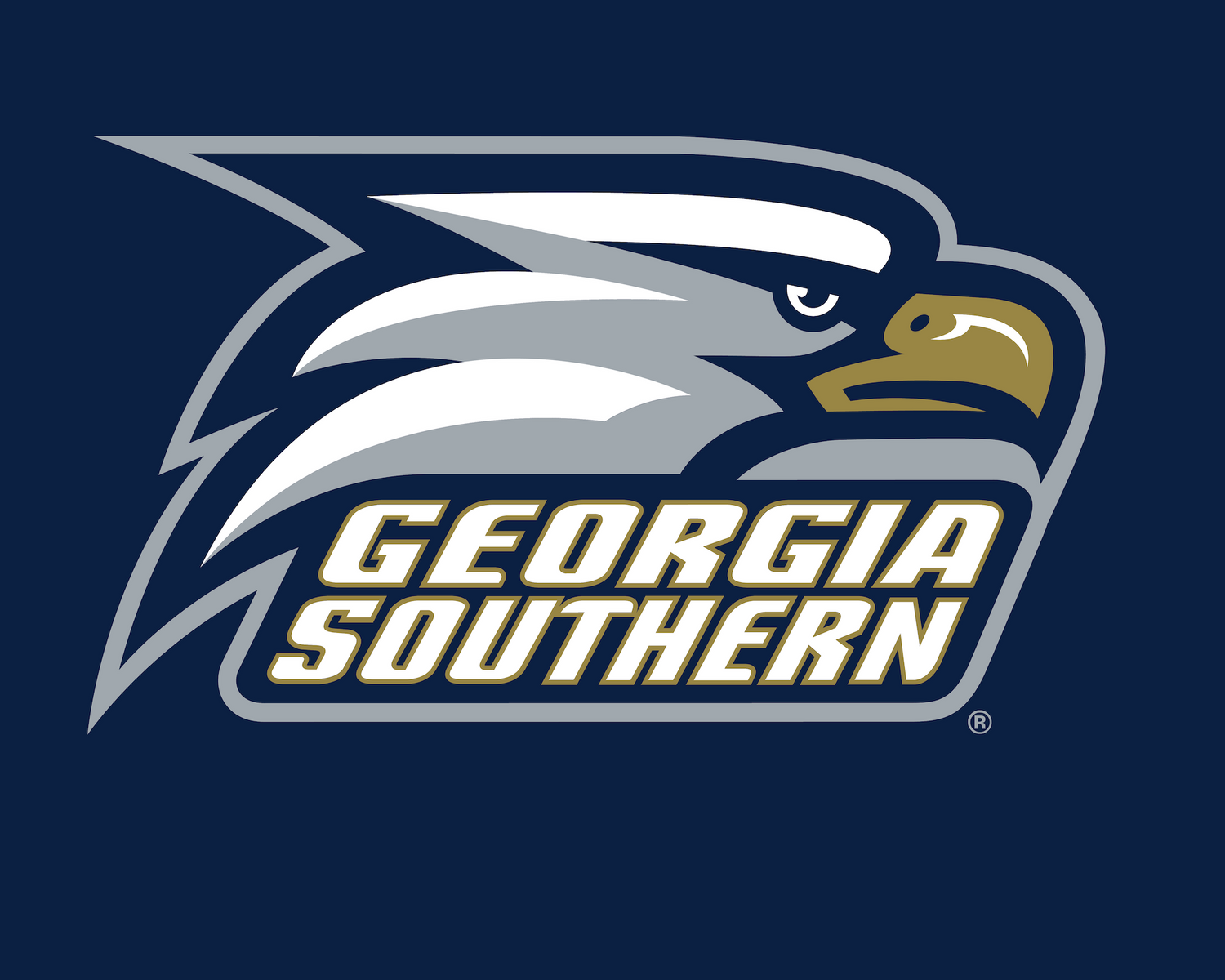 Georgia Southern Football