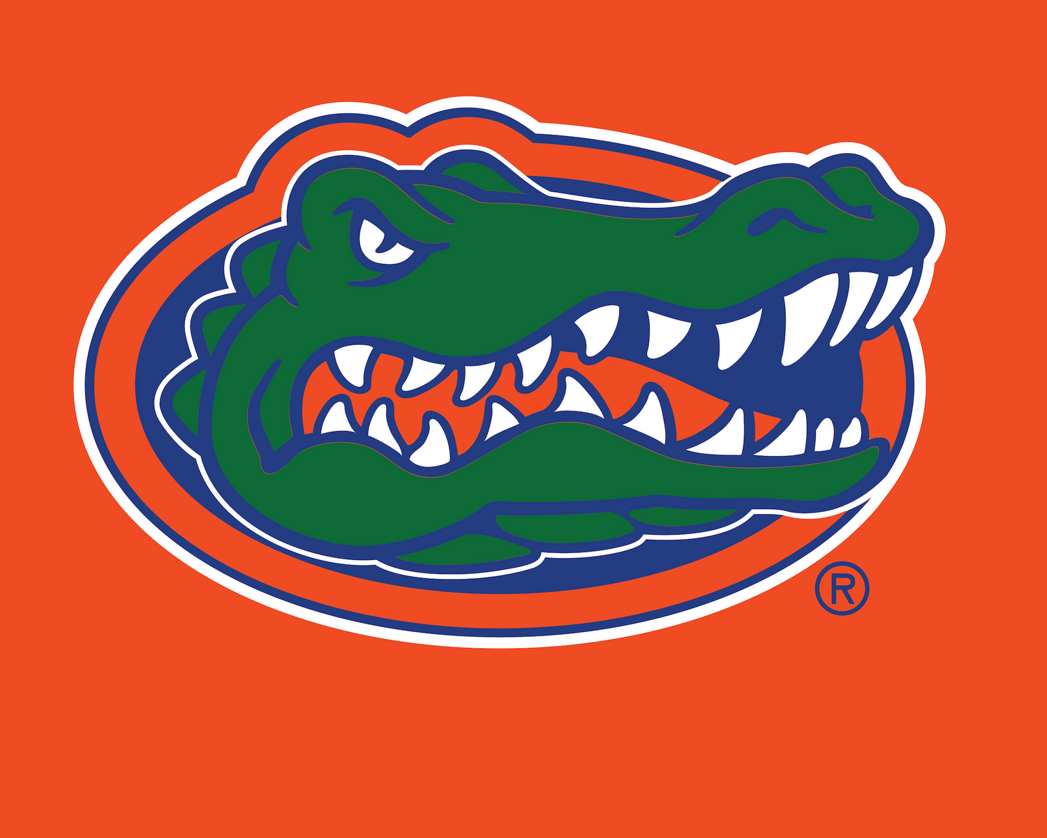 Florida Baseball